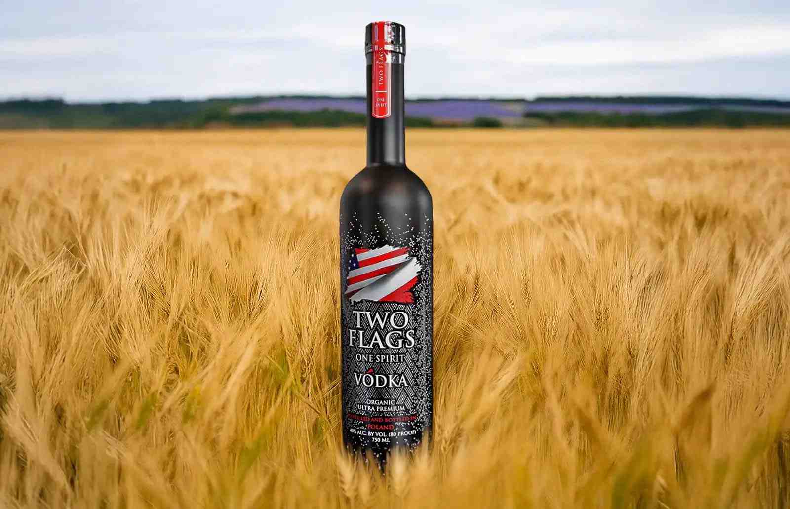 Beyond the Buzz: Uncovering Truly Natural Vodka Brands